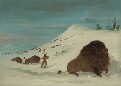 水牛在雪地上漂流--苏族，1861-869。 作者 乔治·卡特琳