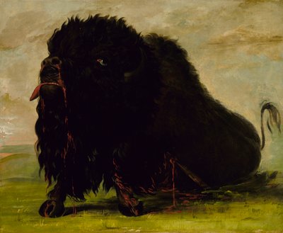 垂死的水牛，被箭射中，1832-1833年。 作者 乔治·卡特琳