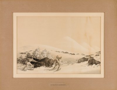 雪地狩猎水牛--第 15 期 作者 乔治·卡特琳