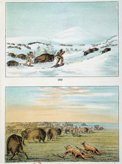 美国的印第安人。猎取野牛。印第安人在冬天穿雪鞋打猎，夏天用狼皮遮盖自己。乔治-卡特林（1794-1872）的插图 作者 乔治·卡特琳