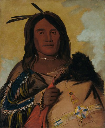 Ka-pés-ka-da，贝壳人，一位奥格拉拉勇士，1832年。 作者 George Catlin