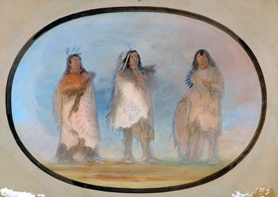 小熊，陡风，狗，苏族三个杰出的勇士，约1865-1871年。 作者 乔治·卡特琳