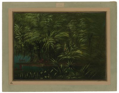  作者 乔治·卡特琳