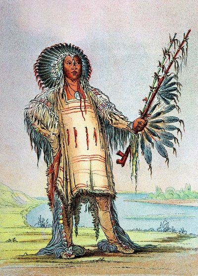 狼首席Mandan Indian Ha-Na-Tah-Muah 作者 乔治·卡特琳