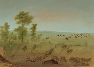 水牛和狼，18611869年。 作者 乔治·卡特琳