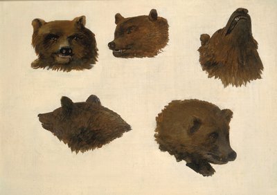 两只灰熊的肖像，来自生活，1839-1840。 作者 乔治·卡特琳