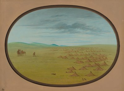 草原狗村，18611869。 作者 乔治·卡特琳