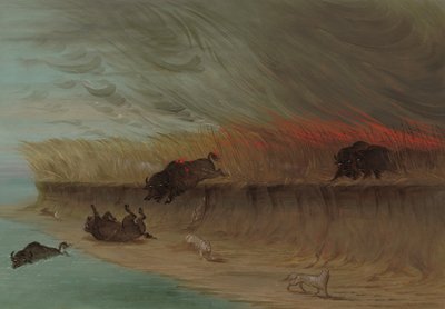 草原草地燃烧，18611869年。 作者 乔治·卡特琳