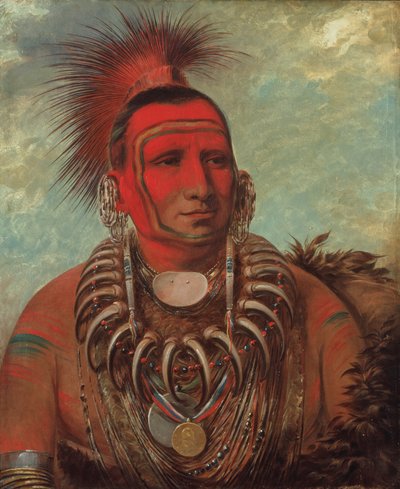 湘潭一加，小狼，一个著名的战士，1844-1845。 作者 乔治·卡特琳