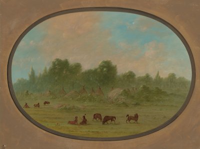 塔瓦奎纳村，18611869。 作者 乔治·卡特琳