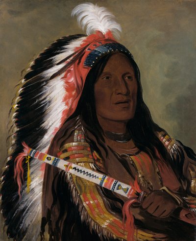 Táh-téck-a-da-háir，陡峭的风，坏箭点乐队的勇士，1832年。 作者 乔治·卡特琳