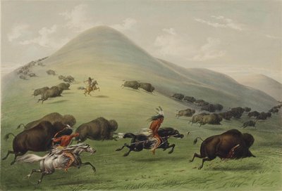 布法罗狩猎 作者 George Catlin