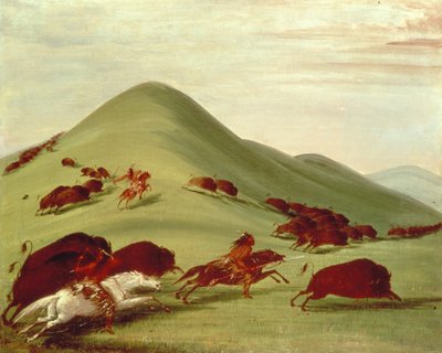 布法罗狩猎 作者 George Catlin