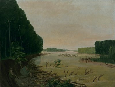 密苏里河上的景象，冲积堤岸落入，在圣路易斯以上600英里处，1832年。 作者 乔治·卡特琳