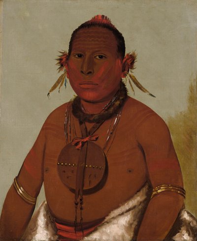 瓦-萨-梅-萨，咆哮的雷，黑鹰的小儿子，1832年。 作者 乔治·卡特琳