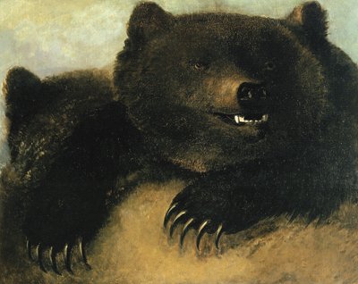 灰熊的武器和相貌，1846-1848。 作者 乔治·卡特琳