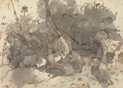 Thatched Building in a Wood 作者 乔治·钦纳里