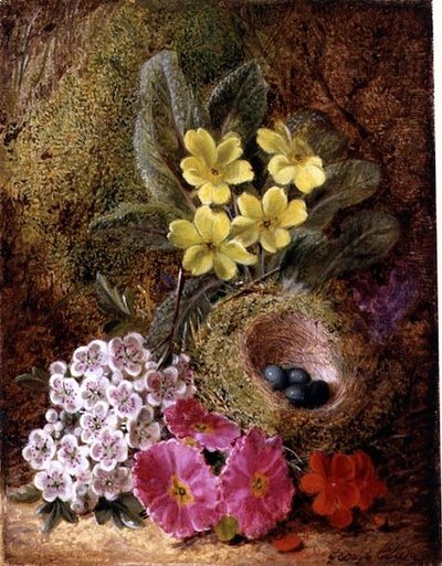 燕窝和报春花的静物画 作者 乔治·克莱尔