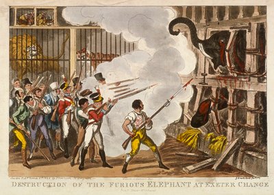 在埃克塞特变化的愤怒的大象的毁灭》，1826年 作者 乔治·克鲁克申克