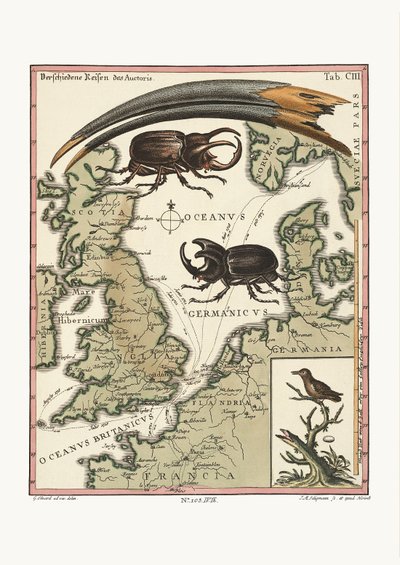 埃及宜必思的比尔和最少的蜂鸟，1749-73 作者 George Edwards