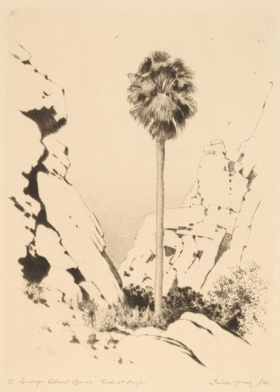 棕榈峡谷 (No.1) 作者 乔治·埃尔伯特·布尔