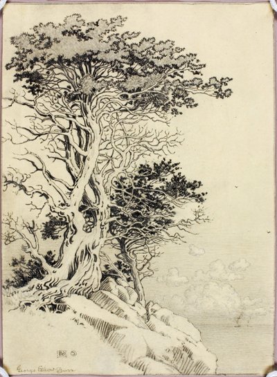 无题（供印刷用的图画） 作者 乔治·埃尔伯特·布尔