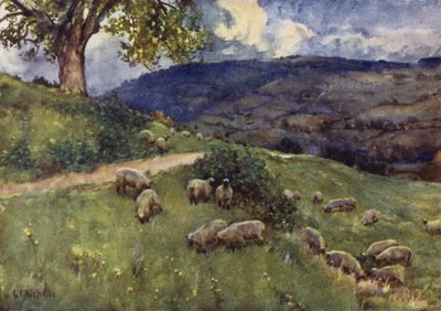 Cotswold绵羊牧场 作者 乔治·弗兰克·尼科尔斯