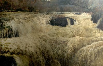 Salmon Leap，Cenarth Falls，Cardiganshire，Wales，1878 作者 乔治·弗兰克·迈尔斯