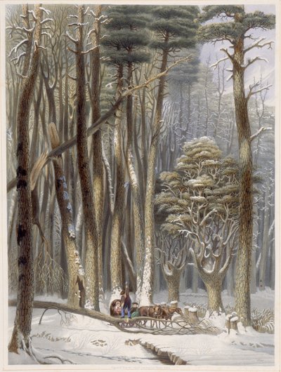 冬季，松树林中的旅行受阻，来自美国原始森林的Harveys场景，1841年（手工彩色aquatint） 作者 乔治·哈维