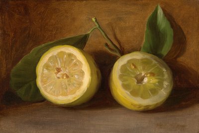 柠檬 作者 乔治·亨利·霍尔