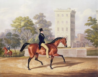 海德公园马尔代夫侯爵，在他的第80年，由J.哈里斯，1847年刻（彩色雕刻） 作者 George Henry Laporte