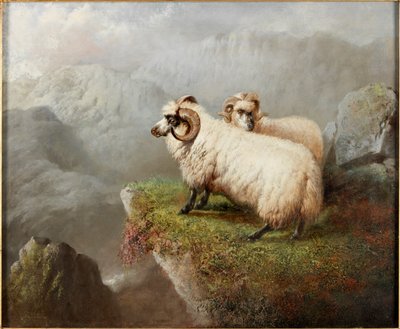 在峭壁边缘的绵羊，c.1865-68 作者 George Hepper