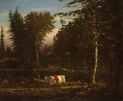 在阿迪朗达克山脉 作者 George Inness