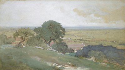 蒂沃利的橄榄树，1873年。 作者 乔治·英尼斯
