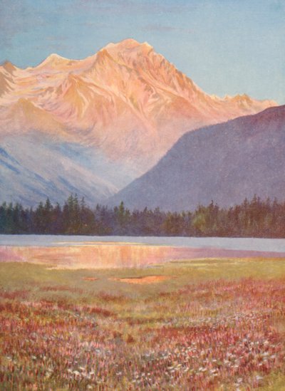傍晚，尚佩斯湖（Lac Champex）的粉红比斯特田间；七月，大康宾河（Grand Combin）上的落日余晖（彩色石版画 作者 乔治·杰克逊·弗莱姆威尔