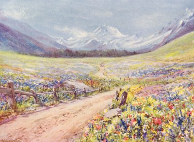 费雷特山谷六月的丹参、箭毒等草甸，就在抵达普拉兹德堡村之前（彩色石版画） 作者 乔治·杰克逊·弗莱姆威尔