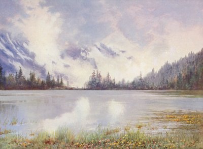 五月底云雾缭绕的香佩斯湖；水边的苍术和报春花（彩色石版画） 作者 乔治·杰克逊·弗莱姆威尔