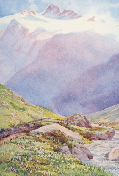 九月，Trient 村庄附近田野中的秋番红花，背景为 Aiguille du Tour（彩色石版画） 作者 乔治·杰克逊·弗莱姆威尔