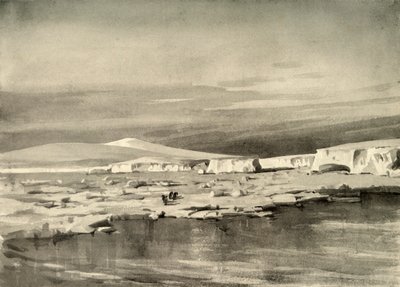 鲸鱼湾或气球湾，1909年，1909年。 作者 乔治马斯顿