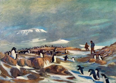 企鹅归来，c1908,1909。 作者 乔治马斯顿