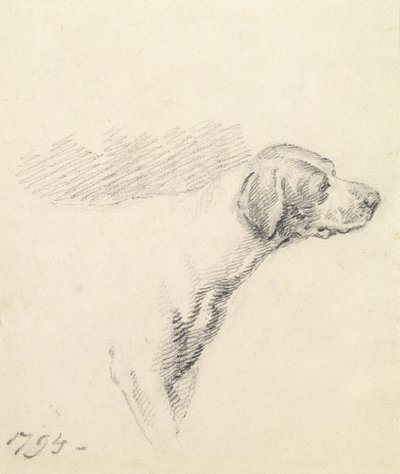 研究猎犬，1794年 作者 乔治·莫兰德