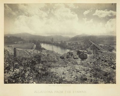 来自埃塔瓦的阿拉图纳，1866年。 作者 乔治·N·巴纳德