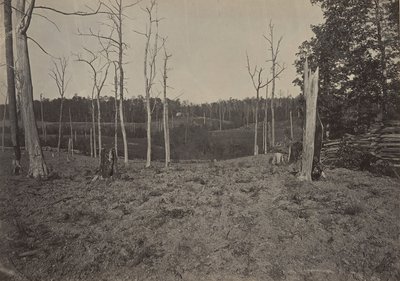 雷萨卡战地，乔治亚州第1号，1860年代。 作者 乔治·N·巴纳德