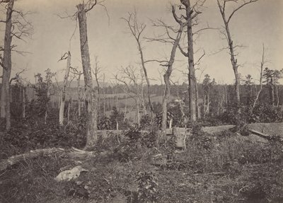 雷萨卡战地，乔治亚州第3号，1860年代。 作者 乔治·N·巴纳德
