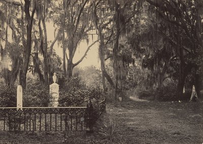 布恩-文图拉，佐治亚州萨瓦纳，1860年代。 作者 乔治·N·巴纳德