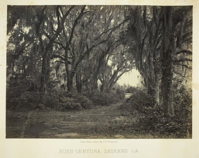 Buen-Ventura Savannah, Ga., 1866。 作者 乔治·N·巴纳德