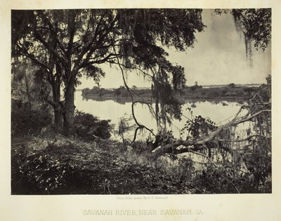萨凡纳河，乔治亚州萨凡纳附近，1866年。 作者 乔治·N·巴纳德