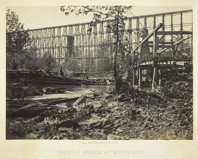 怀特塞德的栈桥，1864年。 作者 乔治·N·巴纳德