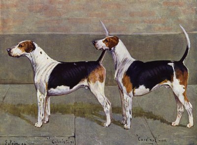 Puckeridge Foxhounds殖民者和红衣主教 作者 乔治·派斯