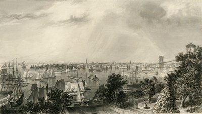 纽约市，来自布鲁克林高地》，1874年。   作者 乔治·R·霍尔